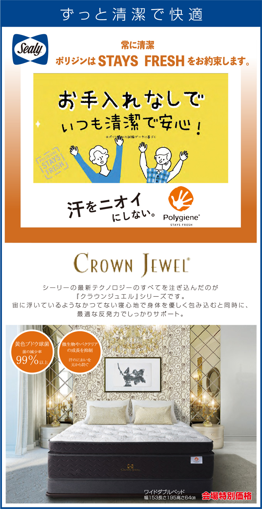 展示アイテム