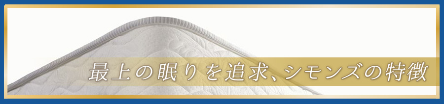 説明画像