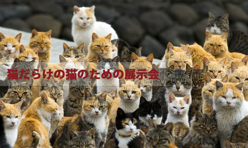 猫だらけの猫のための展示会【日付のみ】